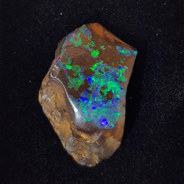 13.60ct Freeform Boulder Opal 24x18mm - Dynagem 