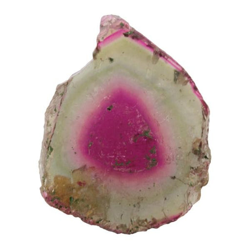 17.07ct Watermelon Tourmaline Slice 21x17mm - Dynagem 