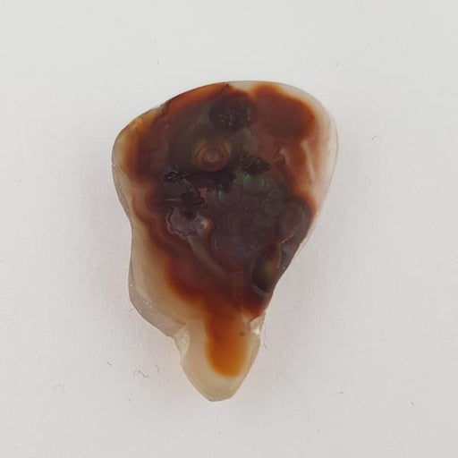 21.56ct Freeform Fire Agate 28x18.5mm - Dynagem 