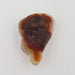 21.56ct Freeform Fire Agate 28x18.5mm - Dynagem 