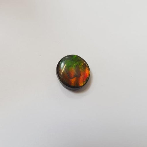 Round Ammolite Triplet 10mm - Dynagem 