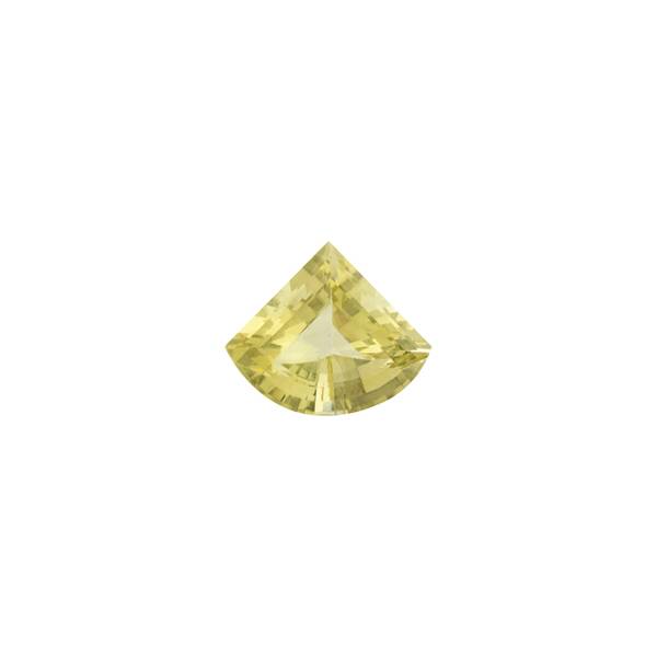 18.31ct Fancy Cut Fan Shape Lemon Quartz 22.5x19.4mm - Dynagem 