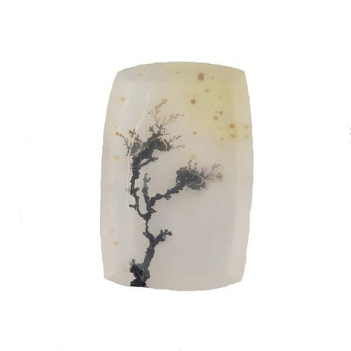 39.16ct Cushion Shape Dendritic Quartz 31.8x21mm - Dynagem 