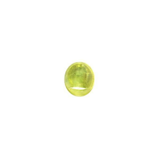 55.9ct Oval Apatite Cat's Eye 21x19mm - Dynagem 
