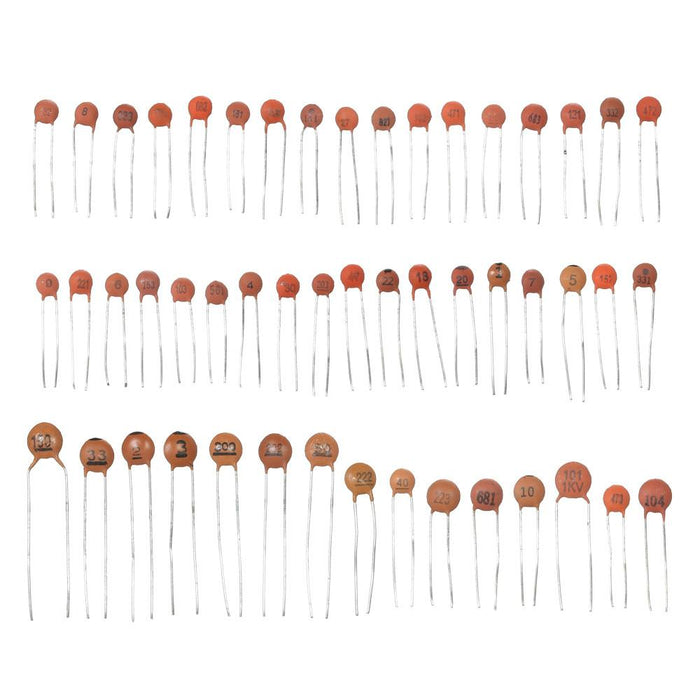 Ceramic Capacitor Assortment Set - Dynagem 